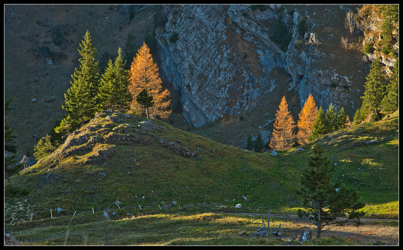 Fin d'automne  sur la montagne