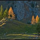 Fin d'automne  sur la montagne