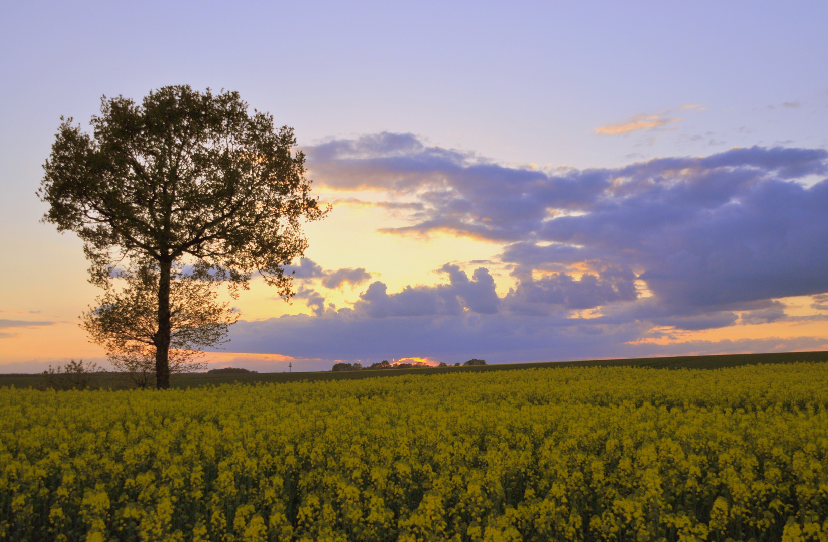 fin de journée a la campagne