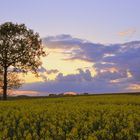 fin de journée a la campagne