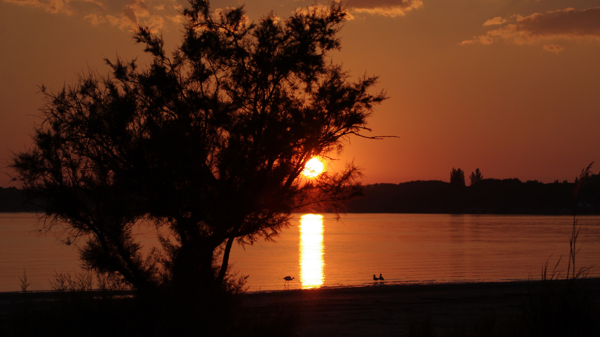 Fin de journée à Mèze ....