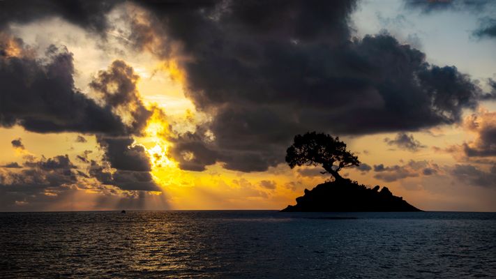 fin de journée agitée