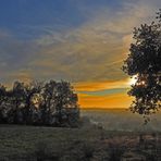 Fin de journée automnale dans le Gers à la manière de…