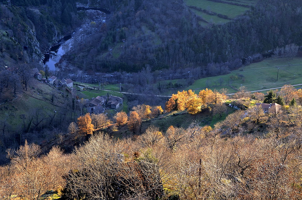 Fin de journée d'automne