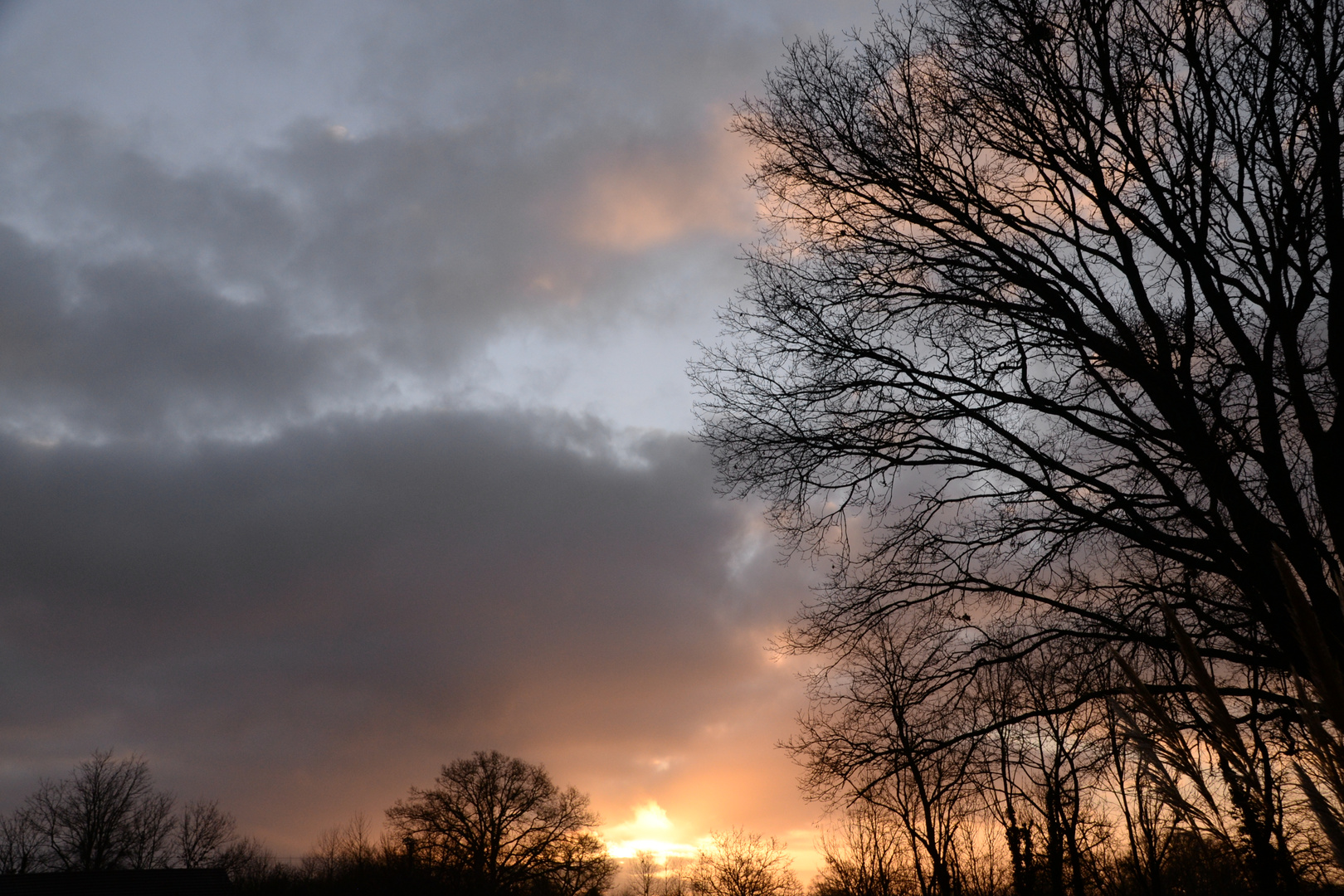 fin de journée sur la campagne