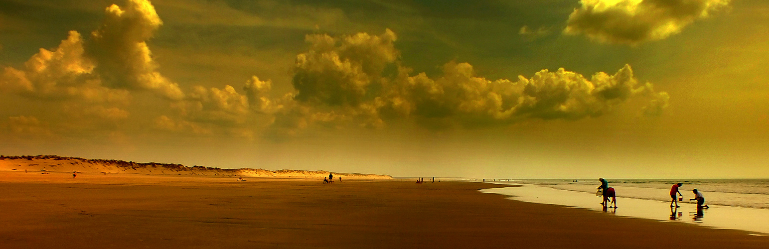 Fin de journée sur la plage de St-Trojan