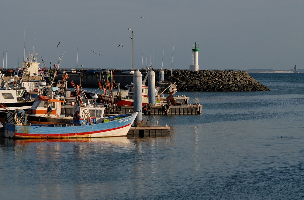 Fin de journée sur le port