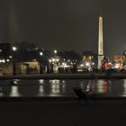 Fin de soirée calme aux Tuileries