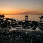 Fin d'été, côte Atlantique, Tharon