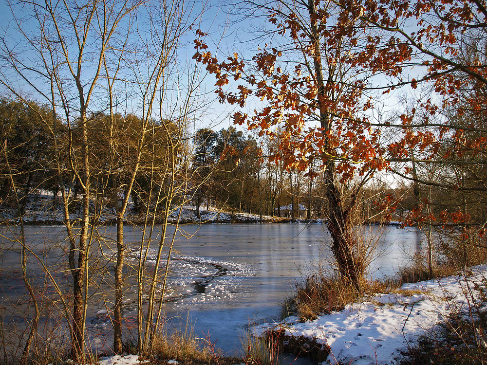 Fin d’hiver sur le lac -- Condom -- Ende des Winters am See