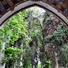 Fin Garden of Kashan