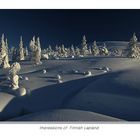 Fin-Lapland (1)
