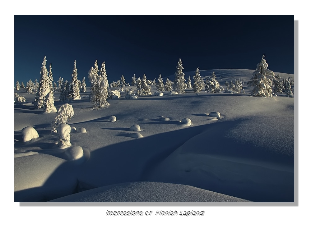 Fin-Lapland (1)