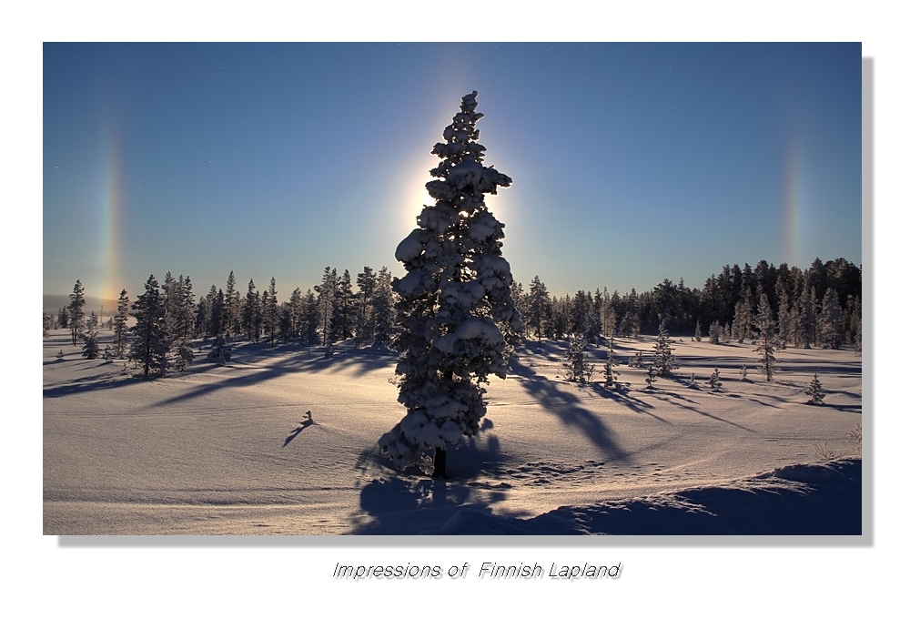 Fin-Lapland (5)