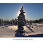Fin-Lapland (5)