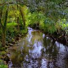 Fin septembre dans le Val de Loire 