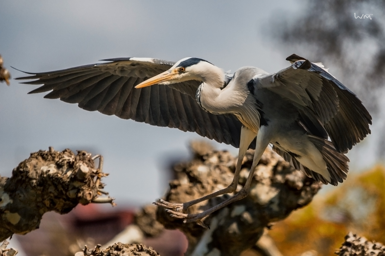 final approach