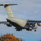 Final Approach over the Autumn Forest