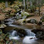 Final del otoño en Canencia