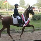 Finale IDMG 2007, Saddlebred Stute Moonlight im Tölt unter 11 jährigem Reiter