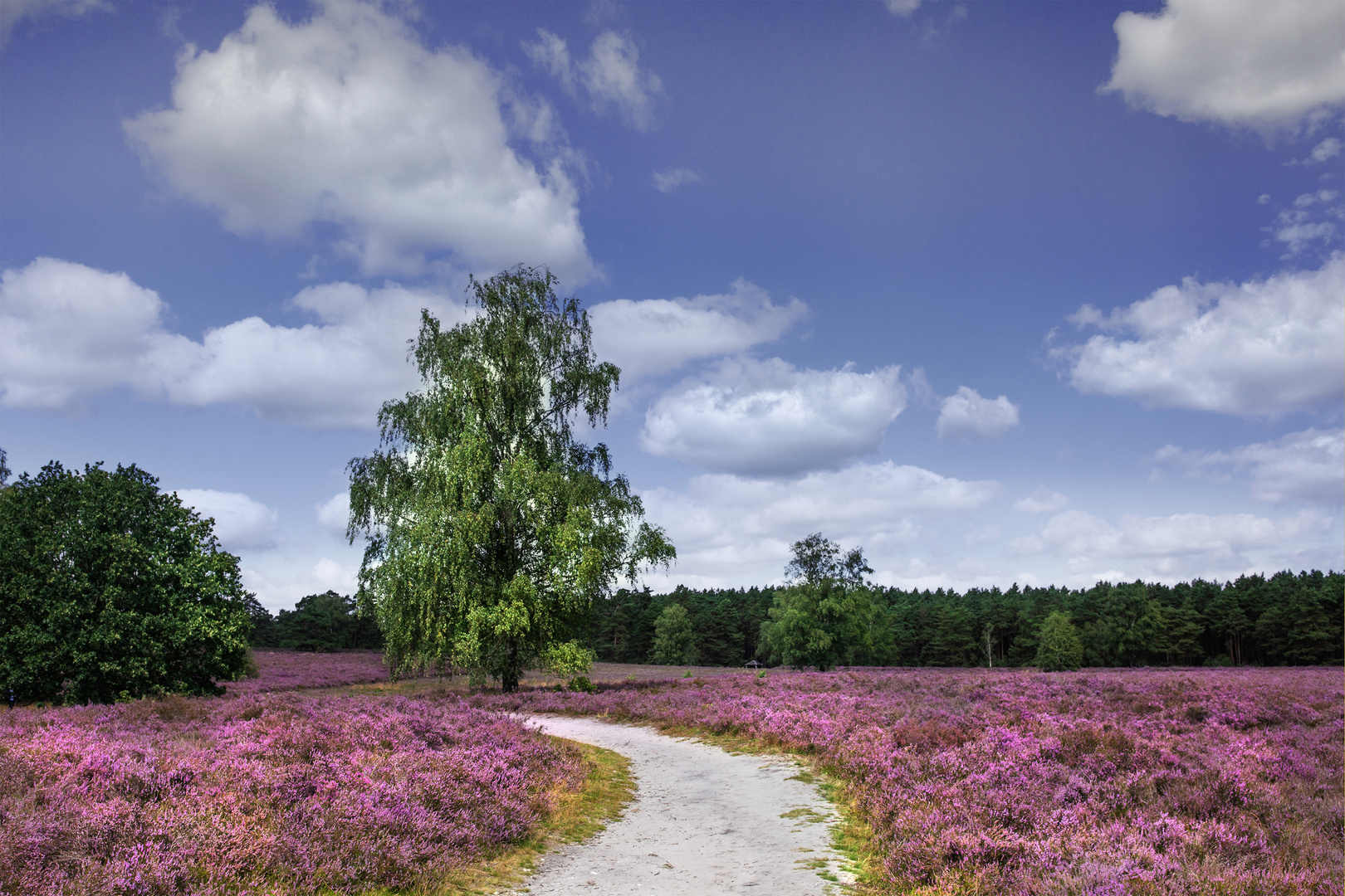 Finale in der Heide