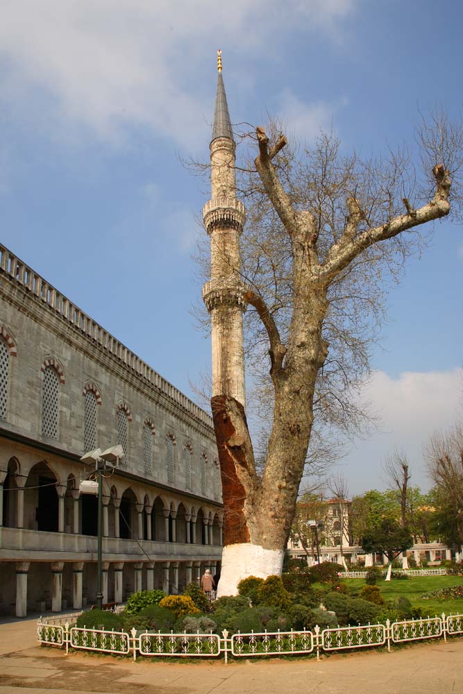 Finalement, quoi de plus naturel qu'un minaret ?