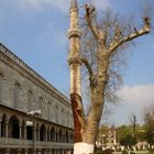 Finalement, quoi de plus naturel qu'un minaret ?