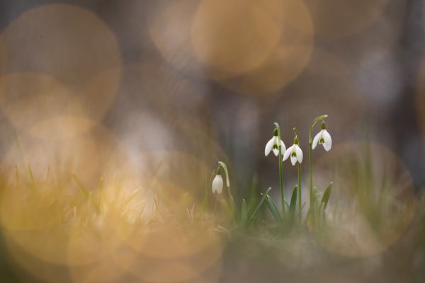 finally spring again