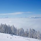 Finally the clouds settled in the valley