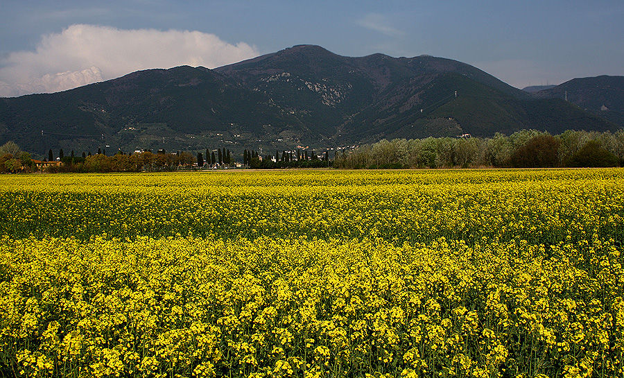 Finalmente..... la primavera!