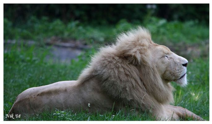 Finalmente, una leggera brezza...