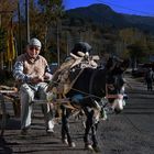 Finanzkrise...? - Das Taxi der Zunkunft..!