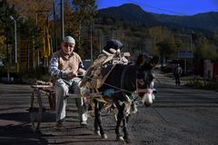 Finanzkrise...? - Das Taxi der Zunkunft..!