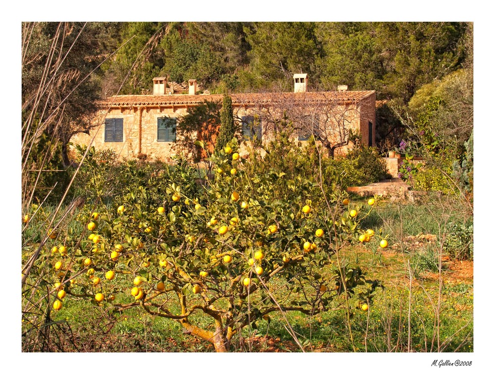 Finca am Wegesrand