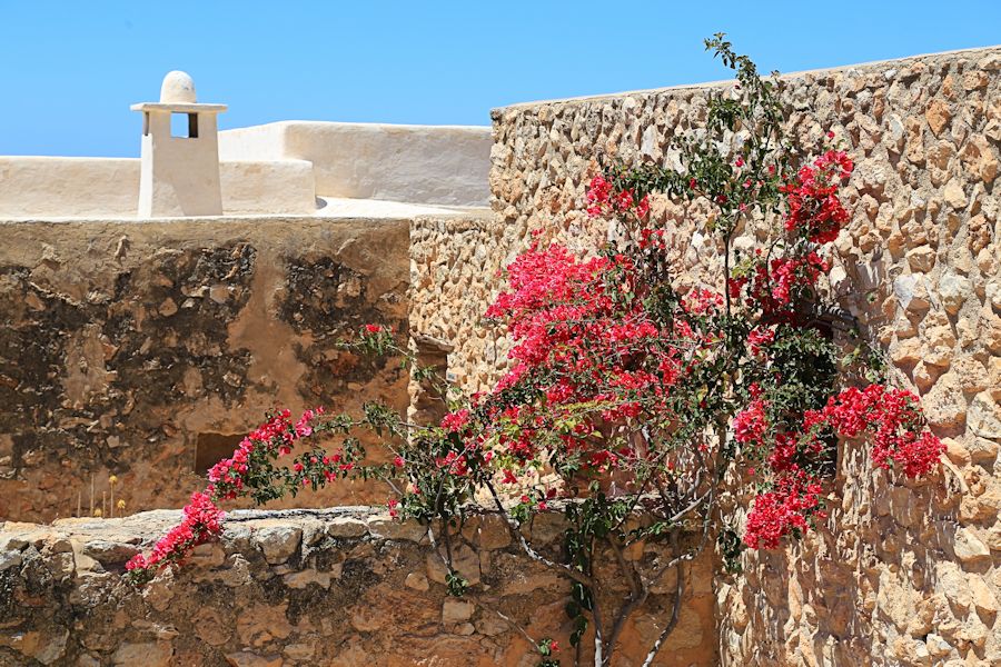 Finca auf Ibiza: Mauerwerk und Blumen