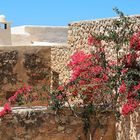 Finca auf Ibiza: Mauerwerk und Blumen