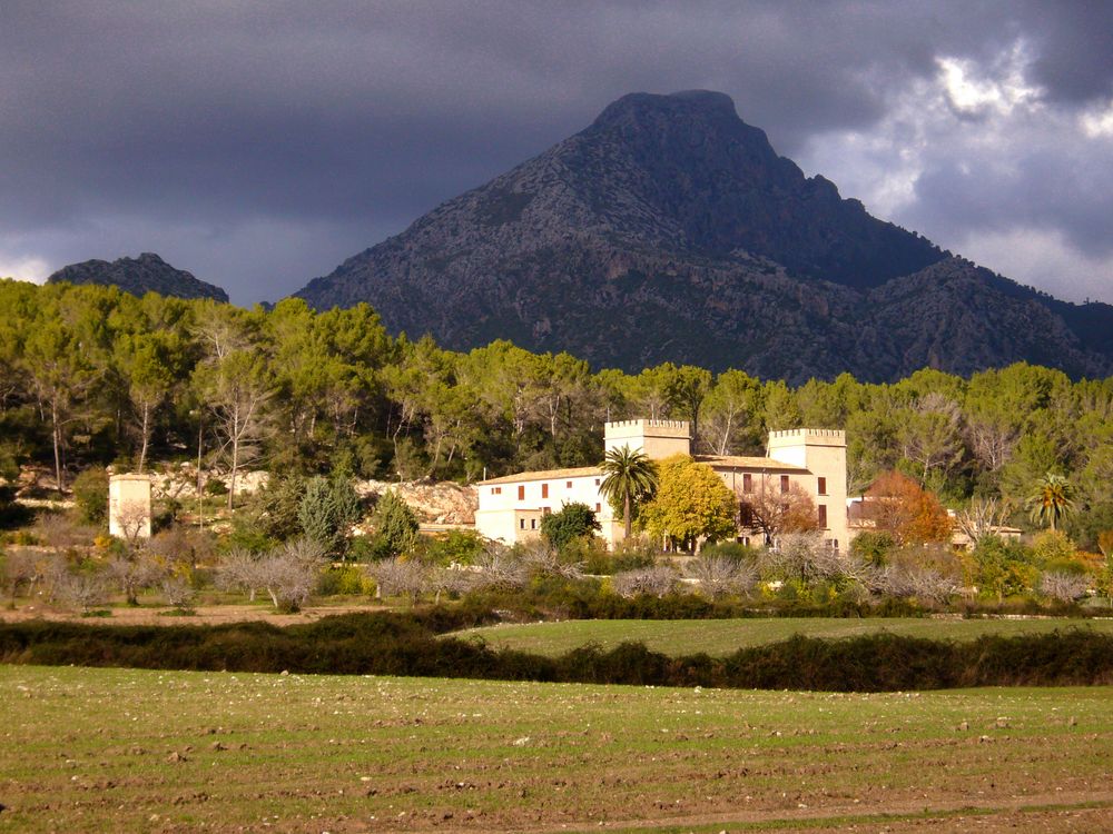 Finca bei Valdemossa