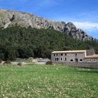 Finca Binifaldo