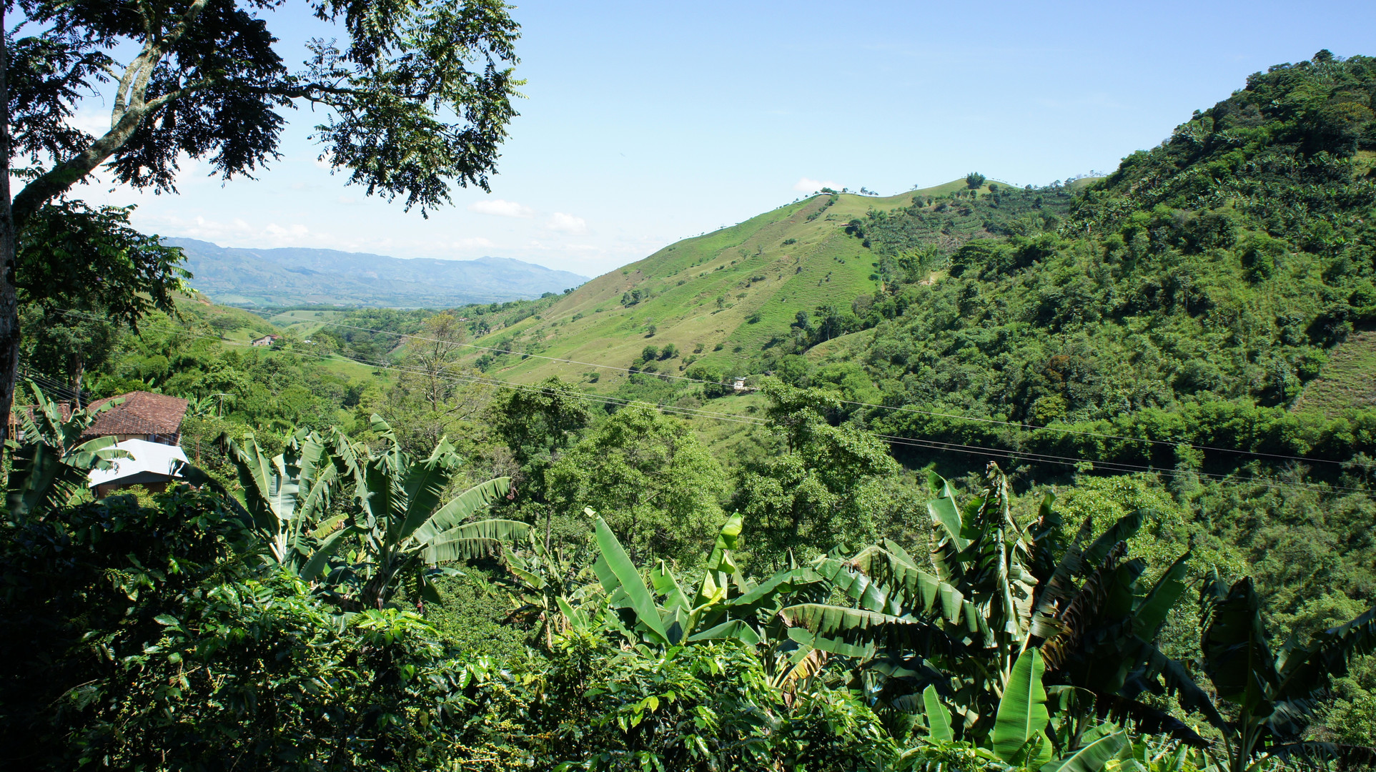 FINCA CAFETERA BELEN DE UMBRIA