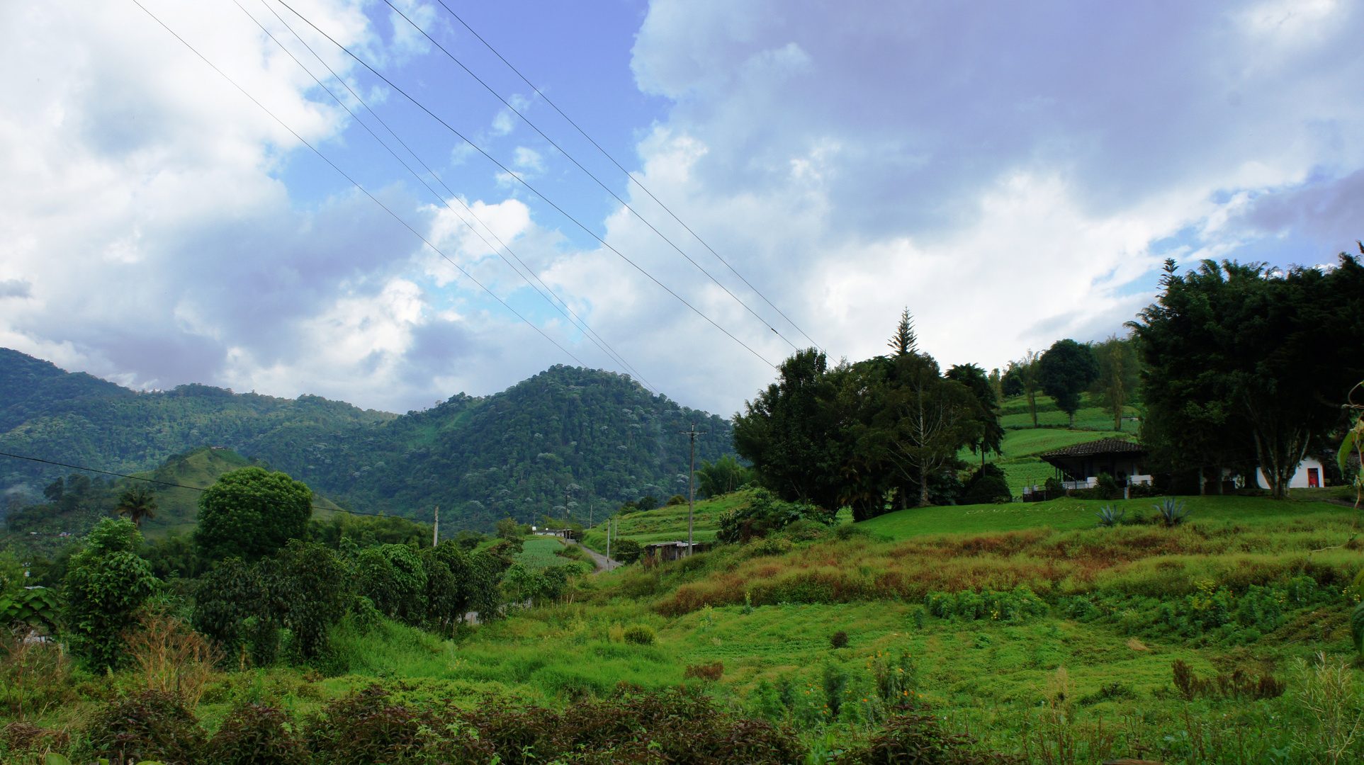 FINCA CEBOLLERA