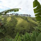 Finca con vista