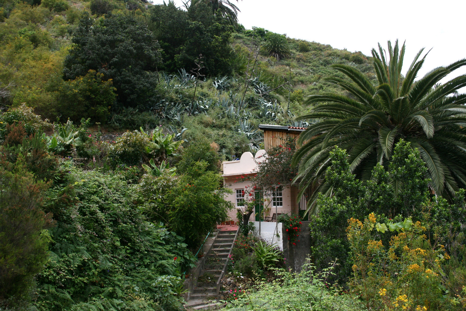 Finca im Grünen