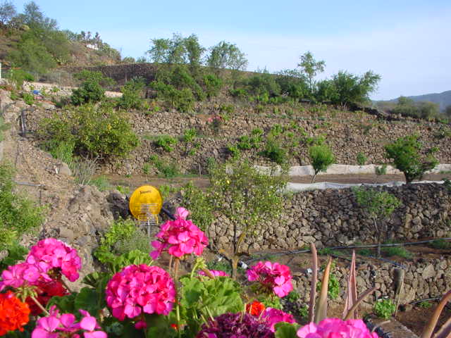 Finca La Isa auf Gran Canaria