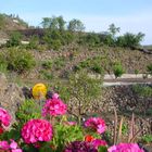 Finca La Isa auf Gran Canaria