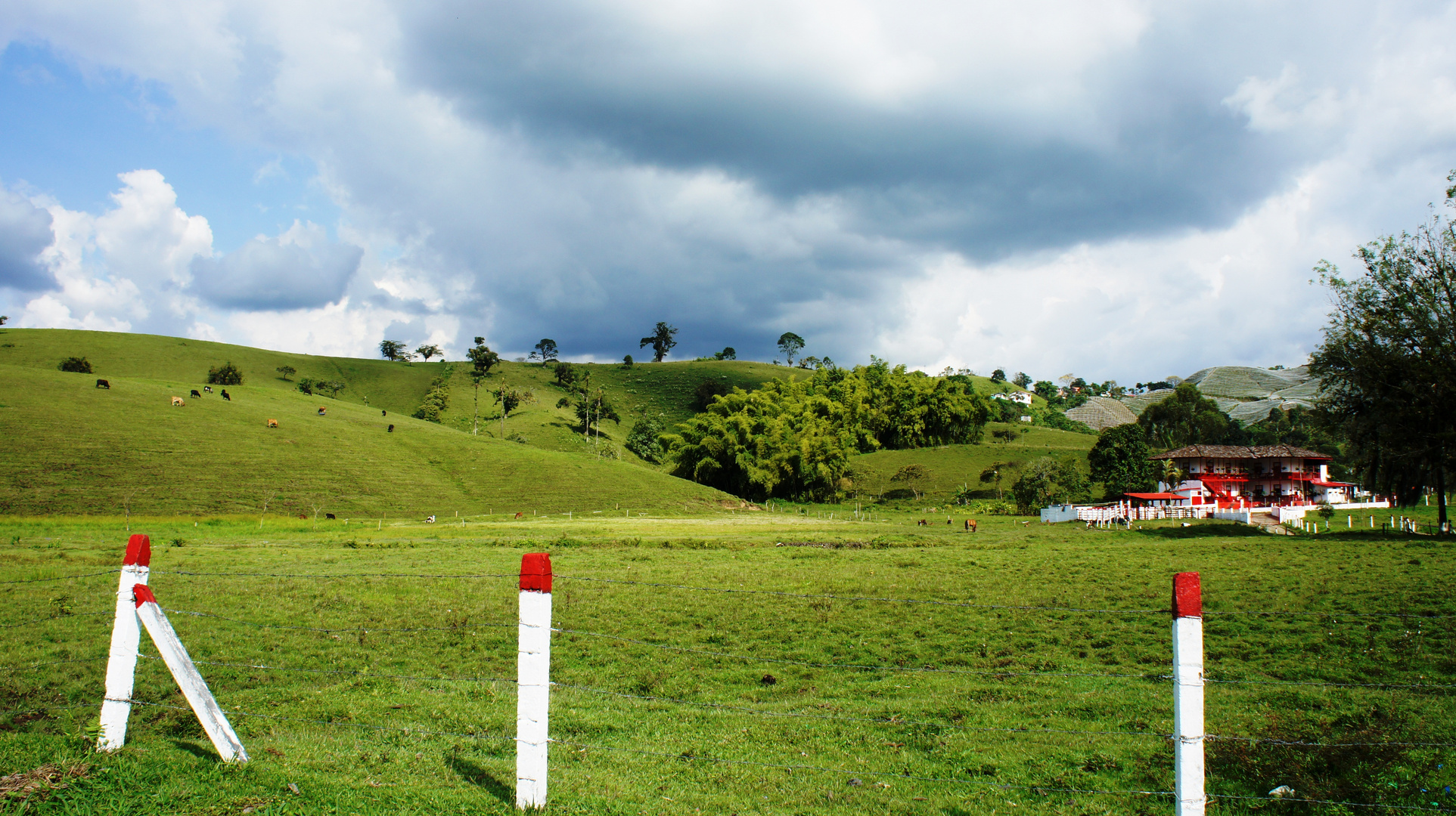 FINCA VIA SANTA ROSA DE CABAL - RISARALDA COLOMBIA