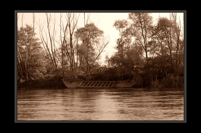 Finchè la barca va...