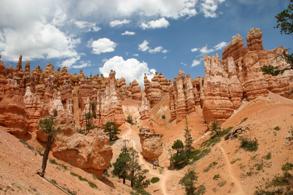 Find the standing intruder ! (Bryce Canyon - Utah - USA)