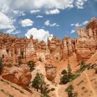 Find the standing intruder ! (Bryce Canyon - Utah - USA)