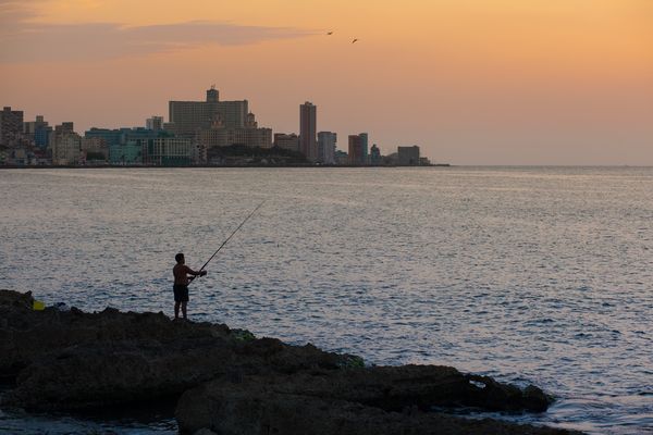 finde den gelben Eimer