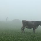 findet der Bauer die Kuh nicht,findet evtl. die Kuh den Bauern :-)